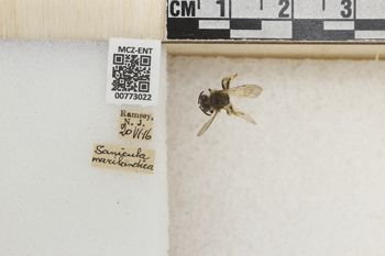 Media type: image;   Entomology 773022 Aspect: Labels
